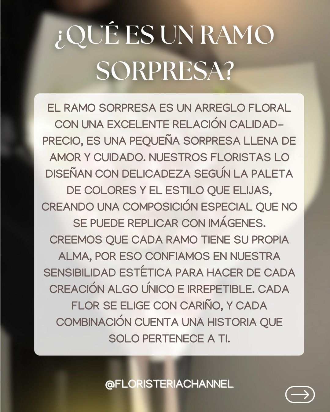 RAMO SORPRESA