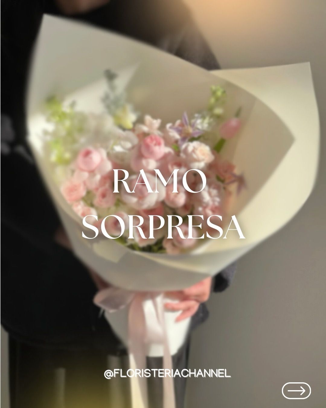 RAMO SORPRESA